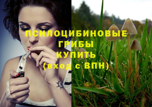 прущая мука Волоколамск