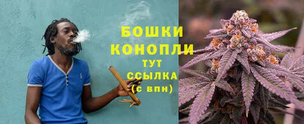 молекула духа Волосово